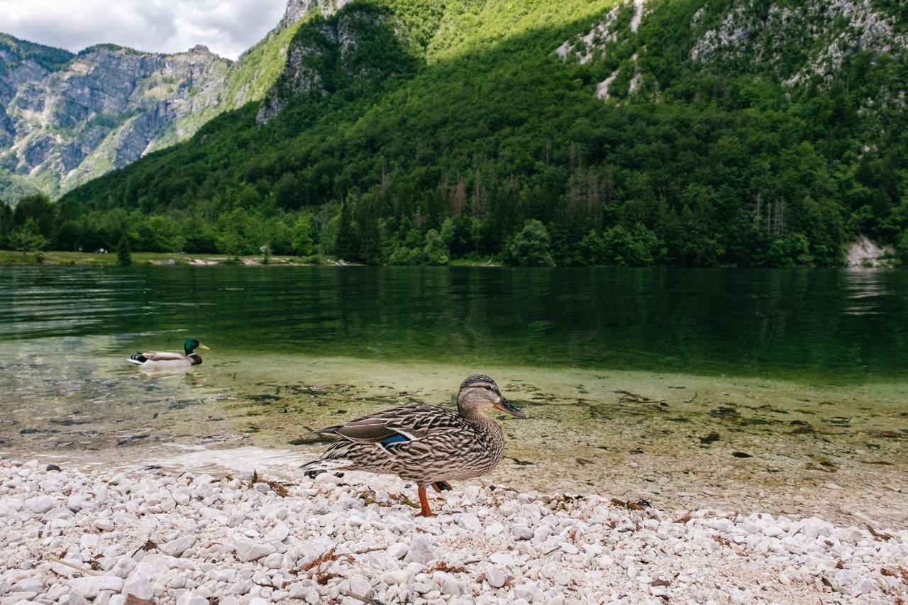 Villa Melody Bohinj Bagian luar foto